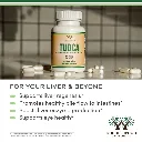 TUDCA_benefits1_06032025.webp