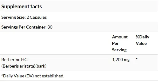 Screenshot 2026-01-24 184257.webp