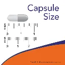 3255_capsule_size.webp