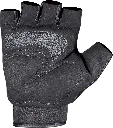 710palm.webp